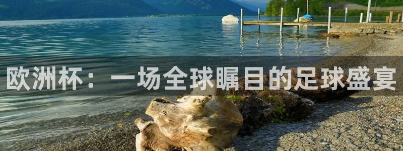 九球天后一杆九球视频