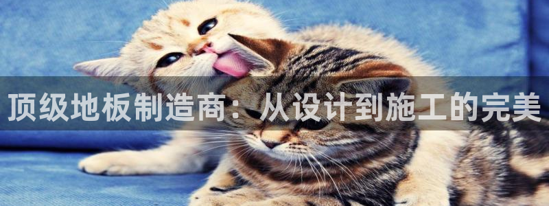 九球体育免费直播观看