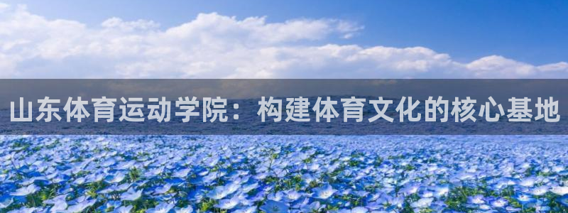 九球体育和那个平台合作：山东体育运动学院